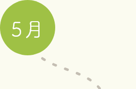 5月