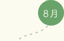 8月